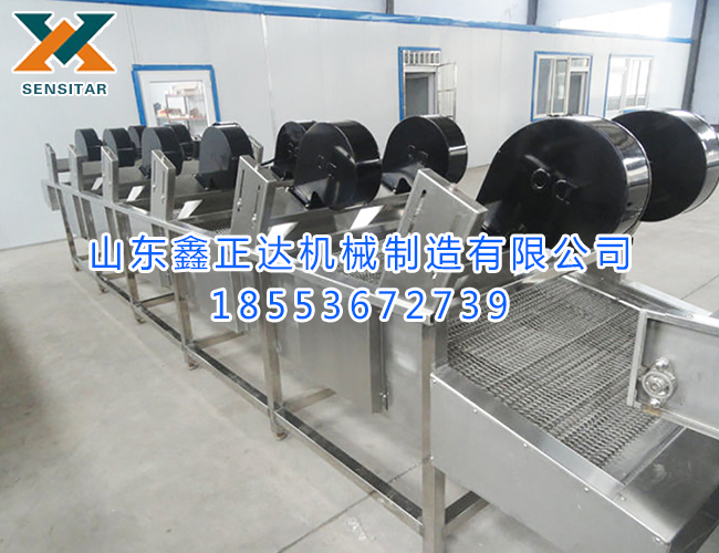 蔬菜風(fēng)干流水線